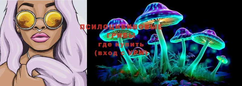 Псилоцибиновые грибы Cubensis  хочу   Нытва 